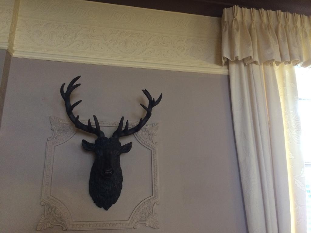Elm Guest House Hawick Bagian luar foto